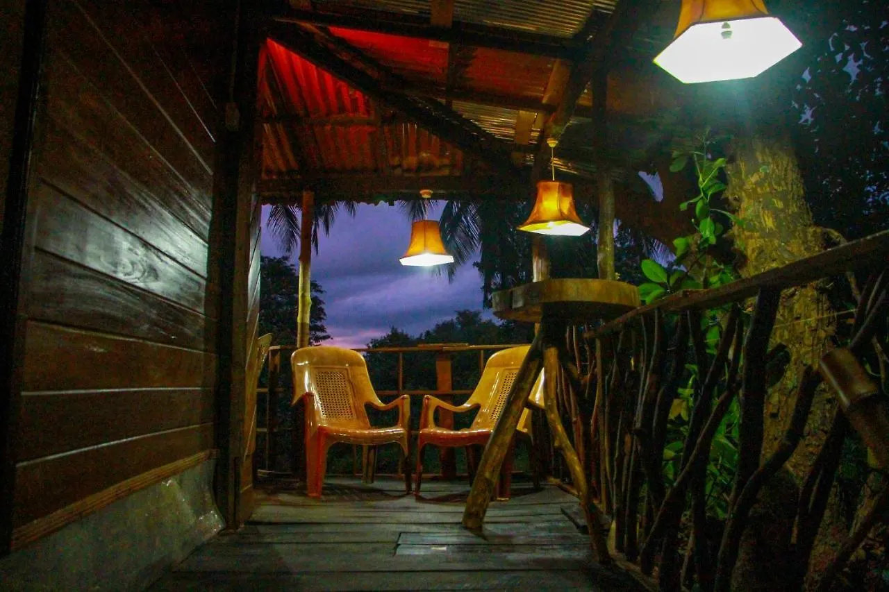 Experience The Comforts Of An Amazing Treehouse Sigiriya