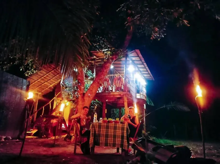 Experience The Comforts Of An Amazing Treehouse Sigiriya Bed & Breakfast