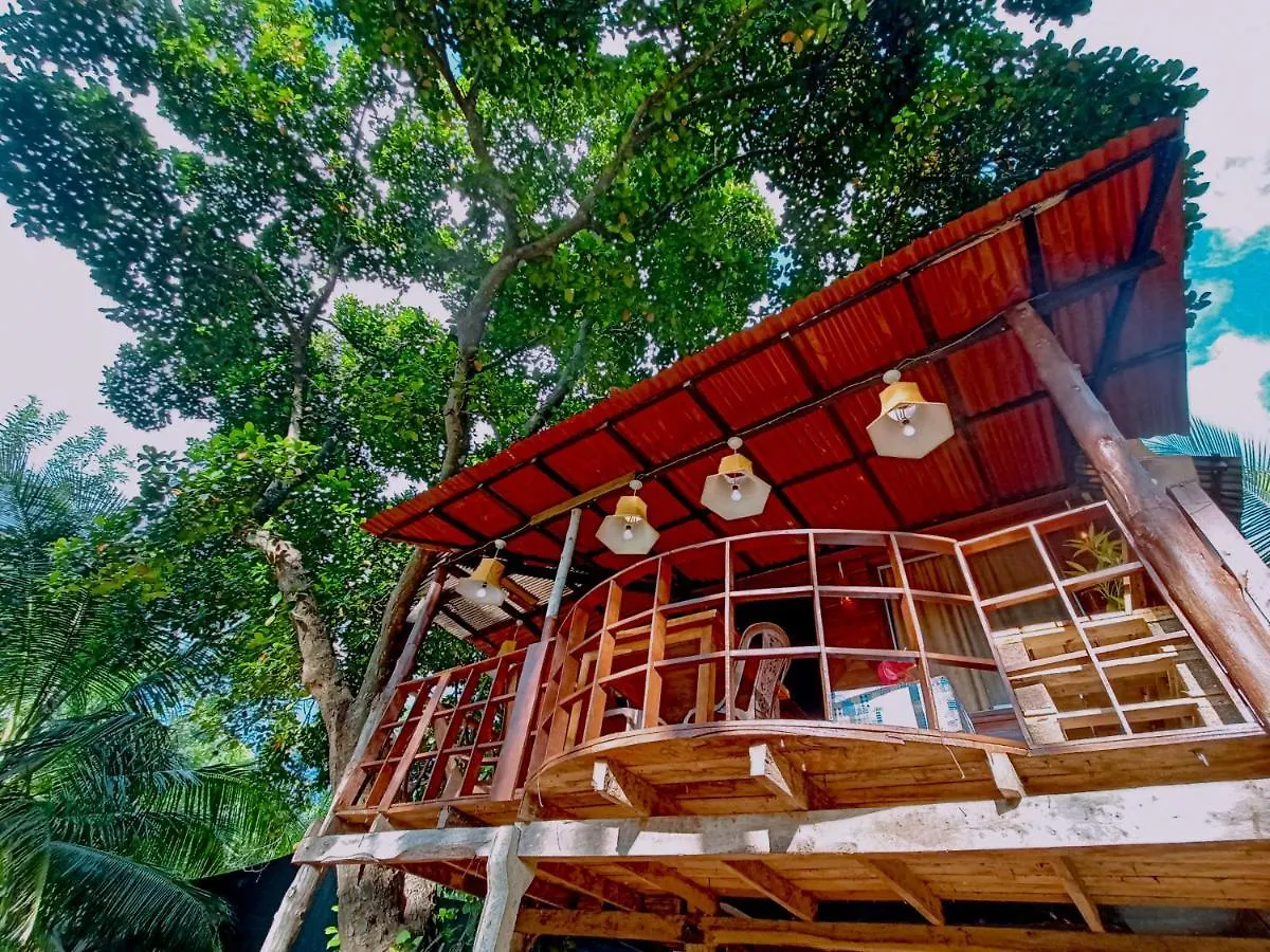Experience The Comforts Of An Amazing Treehouse Sigiriya
