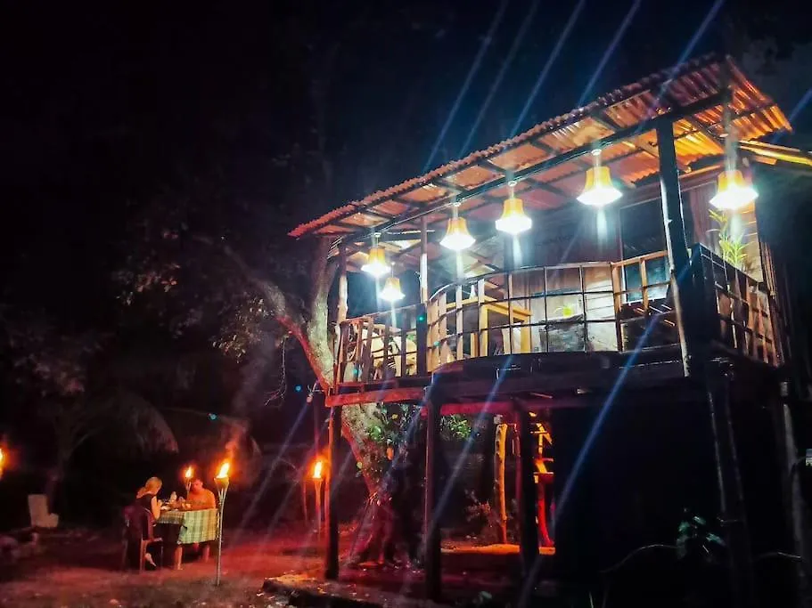 Experience The Comforts Of An Amazing Treehouse Sigiriya