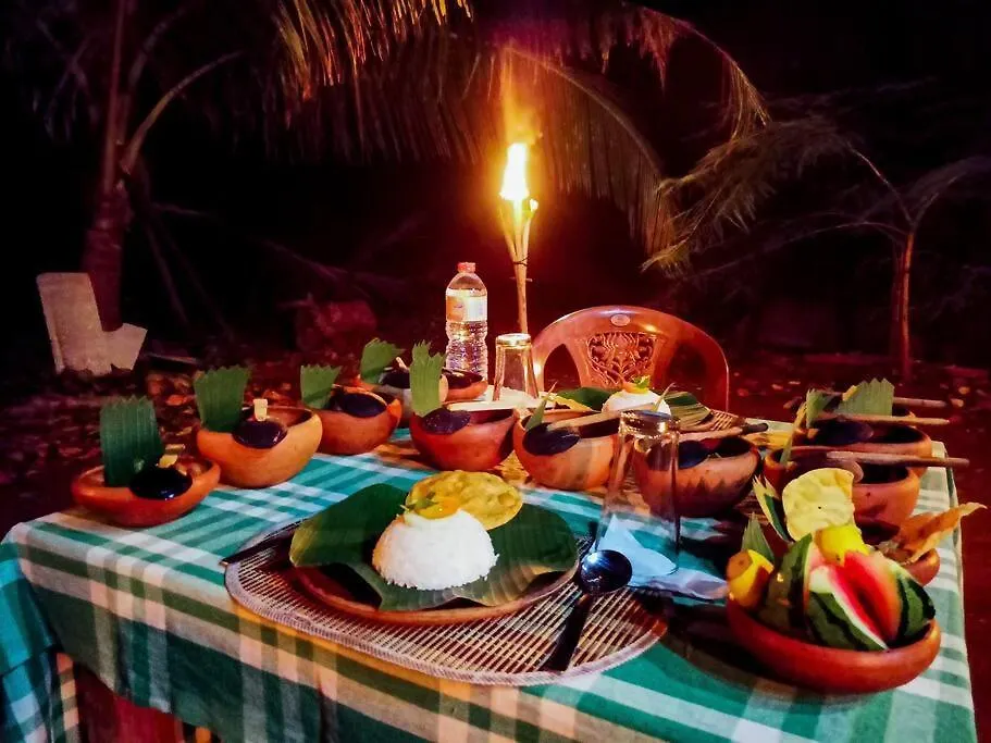 Experience The Comforts Of An Amazing Treehouse Sigiriya