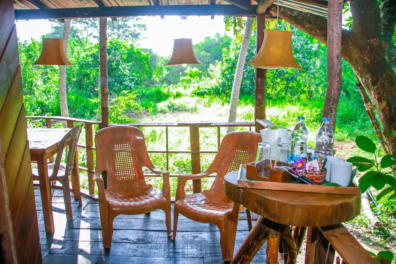Experience The Comforts Of An Amazing Treehouse Sigiriya 0*,