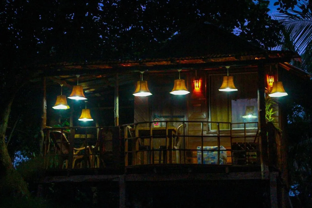 Experience The Comforts Of An Amazing Treehouse Sigiriya Bed & Breakfast