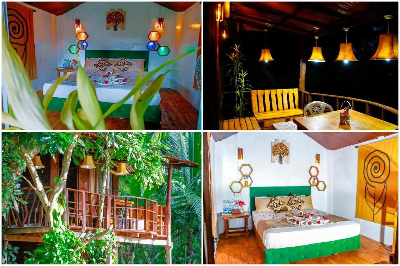 Experience The Comforts Of An Amazing Treehouse Sigiriya Bed & Breakfast