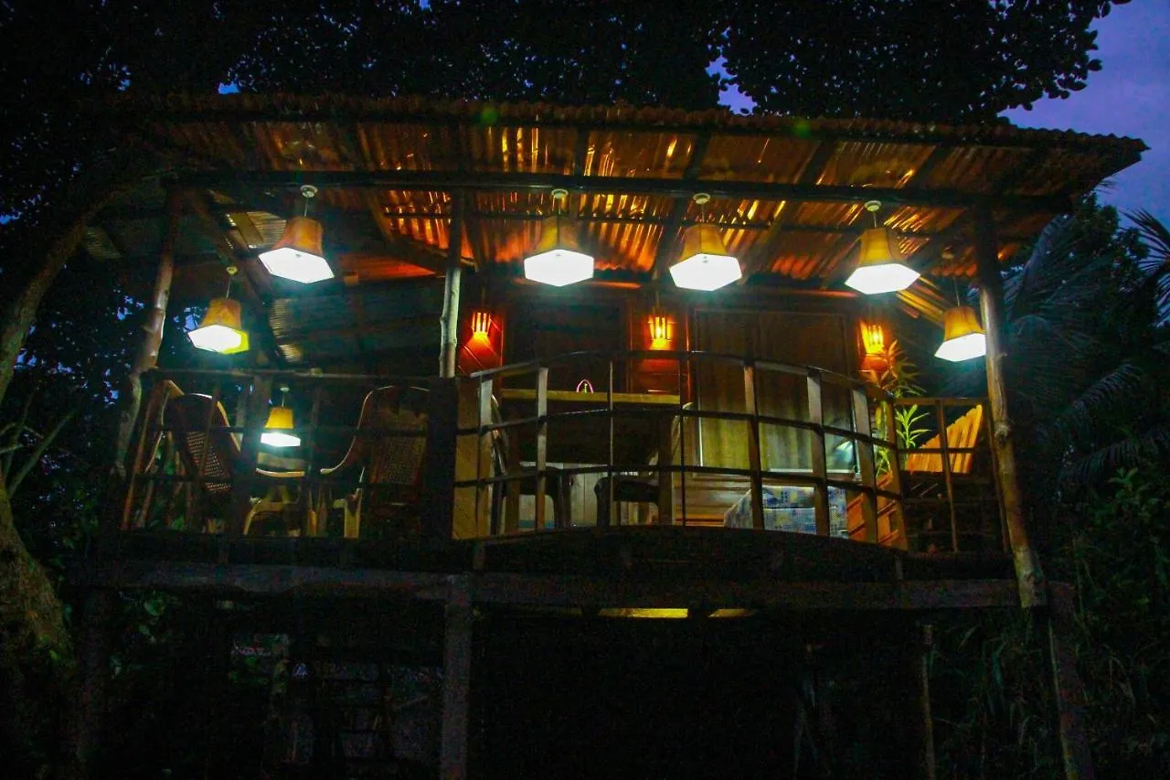 Bed & Breakfast Experience The Comforts Of An Amazing Treehouse Sigiriya Sri Lanka